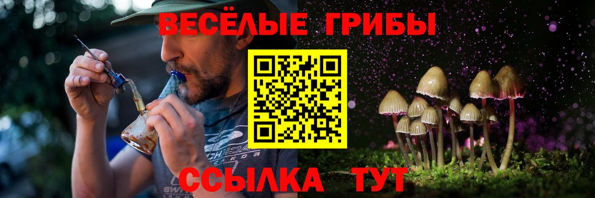 Псилоцибиновые грибы Cubensis  Вход с VPN  Пушкино 